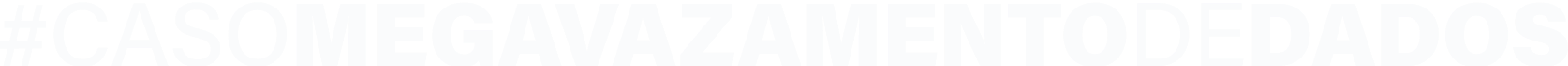 Serasa Case Logo